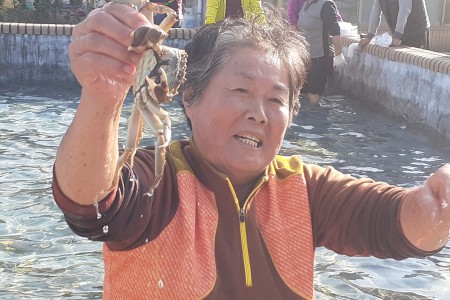 밤참축제